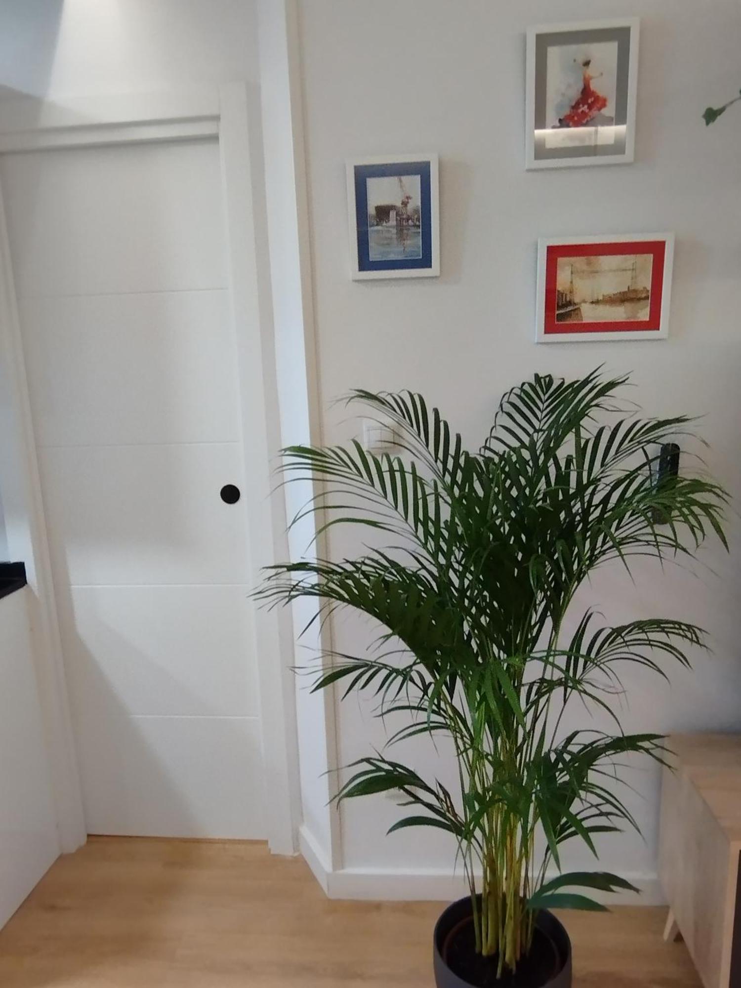 בילבאו Apartamento La Carola מראה חיצוני תמונה